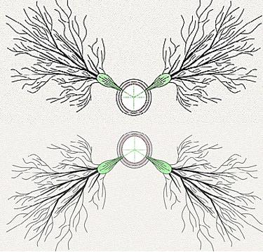 Hydraulic Self-Positioning Jetting Tool